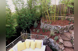 Superscapes: Mid-Century Bamboo Forest