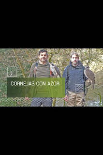 21:30: Cornejas con azor | Caza y Pesca | 3/10 2026
