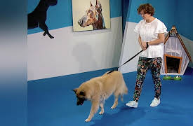 Dog Training 101: Impulse Control: Leave It, Wait, Leash Walking