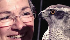 ¿Cómo lo hacen? Mundo animal: Gatos psíquicos y nutrias peludas