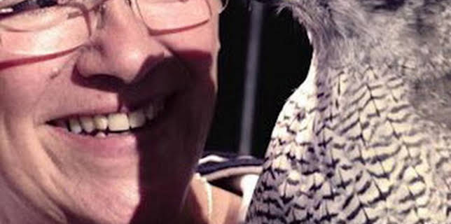 06:00: ¿Cómo lo hacen? Mundo animal: Gatos psíquicos y nutrias peludas | Discovery Max | 3/8 2026