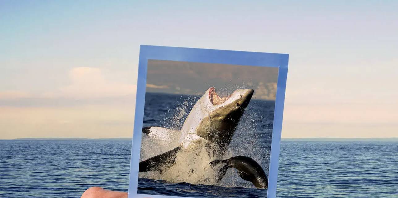 Sharksanity: The Return