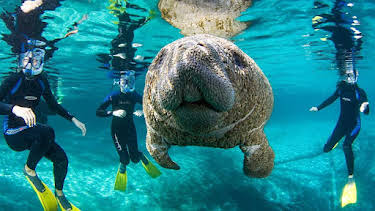 4:30 PM: Cities: Nature's New Wild (S1) | BBC Two | 2/18 2026