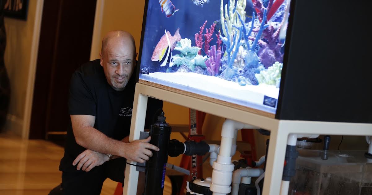11/4 21:00 | Tanked på Animal Planet