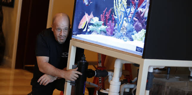 20:00: Akvariedesignerne (S5 E9) (S5) | Animal Planet | 12/14 2025