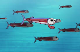 I'm a Fish: I'm a Flying Fish