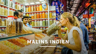 22:50: Malins Indien | SVT24 | 5/25 2026