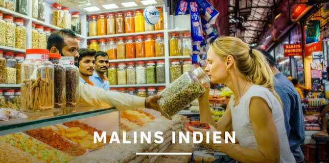 22:00: Malins Indien | SVT24 | 11/12 2025