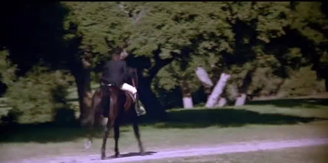 The Woman in Red (1984)