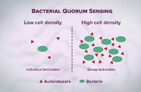 The Hidden Power of Microbes: Survival of the Microbial Fittest