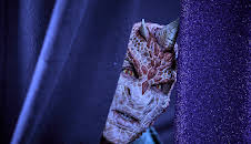 Club der Dinosaurier