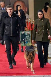 20:00: Hudson y Rex (T4): Ep.12 Ningún hombre es una isla | AXN | 3/30 2026