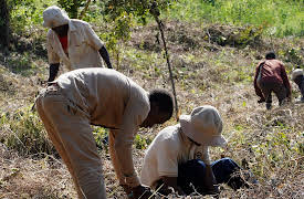Wild Hope, Season 1: Coffee for Water