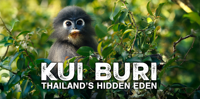 Kui Buri: Thailand's Hidden Eden (2025)