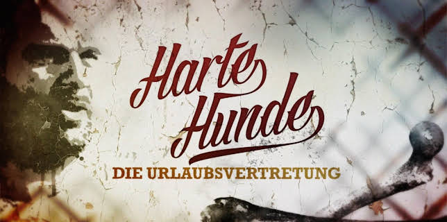 19:10: Harte Hunde - Die Urlaubsvertretung | VOX | 3/21 2026