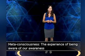 Brain Myths Exploded: Lessons from Neuroscience: Are You Always Conscious while Awake?