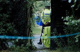 Catching A Killer: A Bullet Through the Window