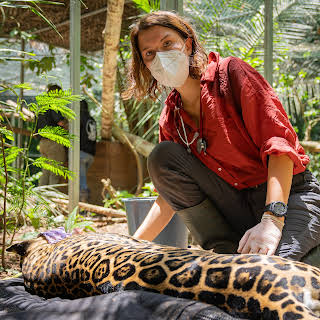 11:00: Faszination Erde - mit Hannah Emde | ZDFneo | 4/5 2026