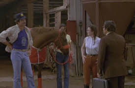 Magnum, P.I.: Ep 14 - Adelaide