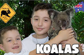 Oliver and Lucas - Educational Videos for Kids: Cuddles with Koalas! Oliver & Lucas Meet Australia’s Cutest Animal