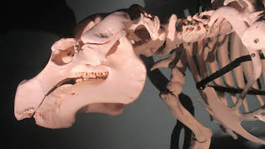 03:07: Misterios en el museo: Maldición familiar y más | Discovery | 6/14 2025