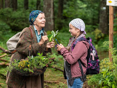 19:15: Die Fallers - Die SWR Schwarzwaldserie | SWR Fernsehen RP | 5/24 2026