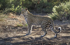 The Hunt: The Hardest Challenge