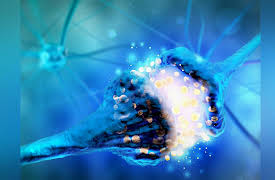 Introduction to Psychology: Your Nervous System, Hormones, and Behavior