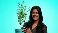 What’s in Your Plant Pot?