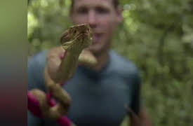 The Jeff Corwin Experience: Season 1: Snake-tacular