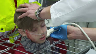 14:00: Auf Streife - Die Spezialisten | Sat1 | 12/11 2025