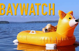 Topi the Corgi: Beach Rescue