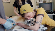 Dyreklinikken (S1 E3)