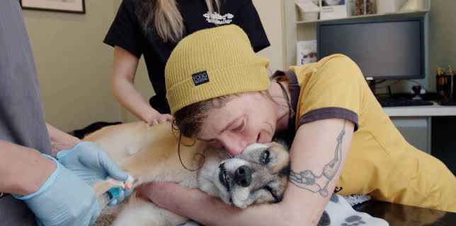 18:30: Dyreklinikken (S1 E3) (S1) | TV8 | 11/16 2025