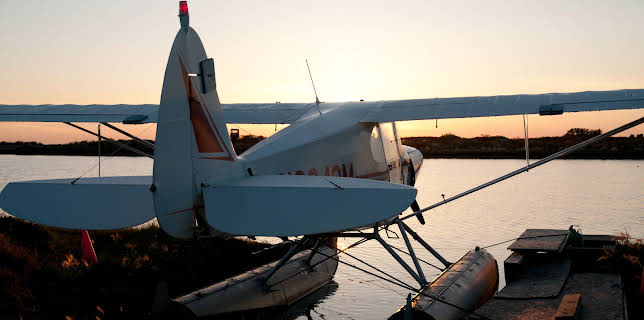 21:00: Flying Wild Alaska (S1 E3) (S1) | Animal Planet | 1/1 2026