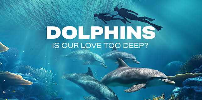 Dolphins: Is Our Love Too Deep? (2023)