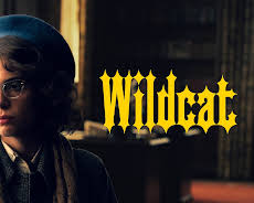 Wildcat