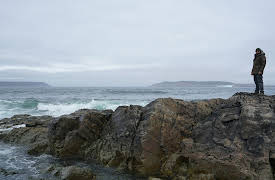 Extinct Or Alive: White Wolf Of Newfoundland