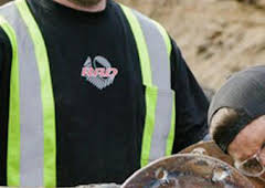 La fiebre del oro: Paga de un millón