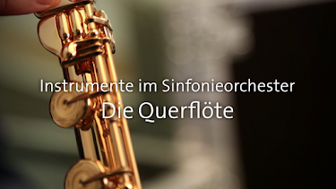 05:45: Instrumente im Sinfonieorchester | SWR Fernsehen BW | 6/29 2026