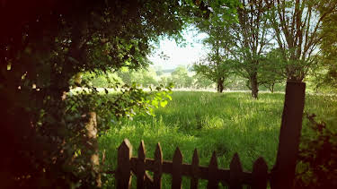 04:20: En plats på landet (S32 E17) (S32) | TV8 | 4/15 2026