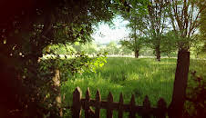 En plats på landet (S32 E17)