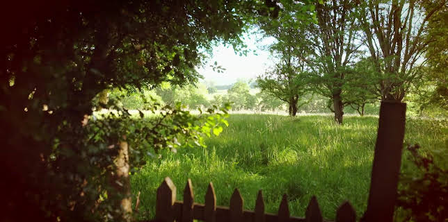 16:50: En plats på landet (S32 E17) (S32) | TV8 | 11/15 2025