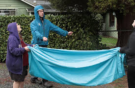 Treetop Cat Rescue: Episode 9