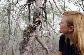 Primates, Season 1: Protecting Primates