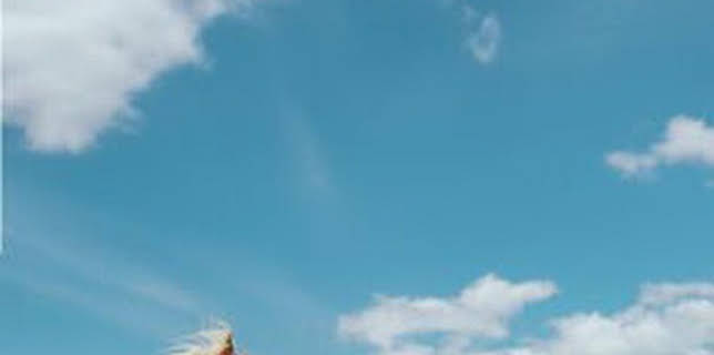 19:15: Panda (T2): Episodio 2 | COSMO | 3/19 2026