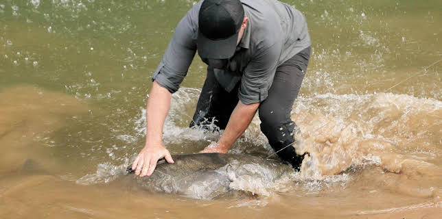 14:45: Chasing Monsters - Monsterfischen auf der Spur | Kabel Eins Doku | 1/9 2026