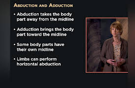 How We Move: The Gross Anatomy of Motion: The Terminology of Movement Patterns