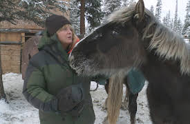 Edge of Alaska: Defend the Frontier