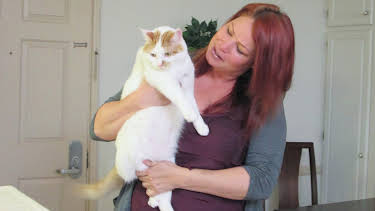 17:00: My Cat From Hell (S6 E10) (S6) | Animal Planet | 2/18 2026